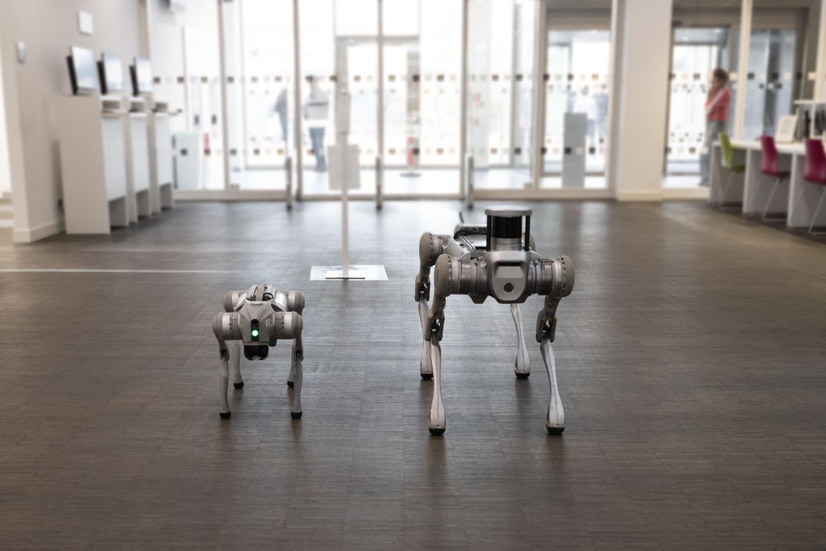 Das Bild zeigt die beiden Unitree-Roboter Go2 und B2 im Inneren des Gebäudes der Technischen Hochschule Nürnberg.